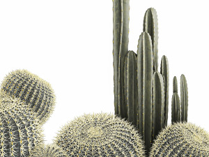 cactus set in a concrete flowerpot for the interior 1097 Modèle 3D
