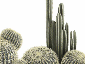 cactus set in a concrete flowerpot for the interior 1097 3D Model