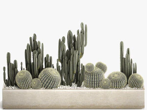 cactus set in a concrete flowerpot for the interior 1097 3D Model