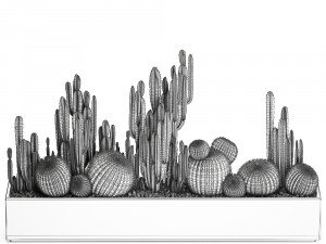 cactus set in a concrete flowerpot for the interior 1097 Modèle 3D