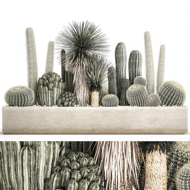 cactus set in a concrete flowerpot for the interior 1098 Modèle 3D .c4d .max .obj .3ds .fbx .stl .blend 
