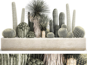cactus set in a concrete flowerpot for the interior 1098 3D Model