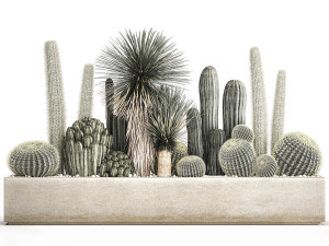 cactus set in a concrete flowerpot for the interior 1098 Modèle 3D