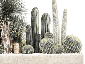 cactus set in a concrete flowerpot for the interior 1098 Modèle 3D