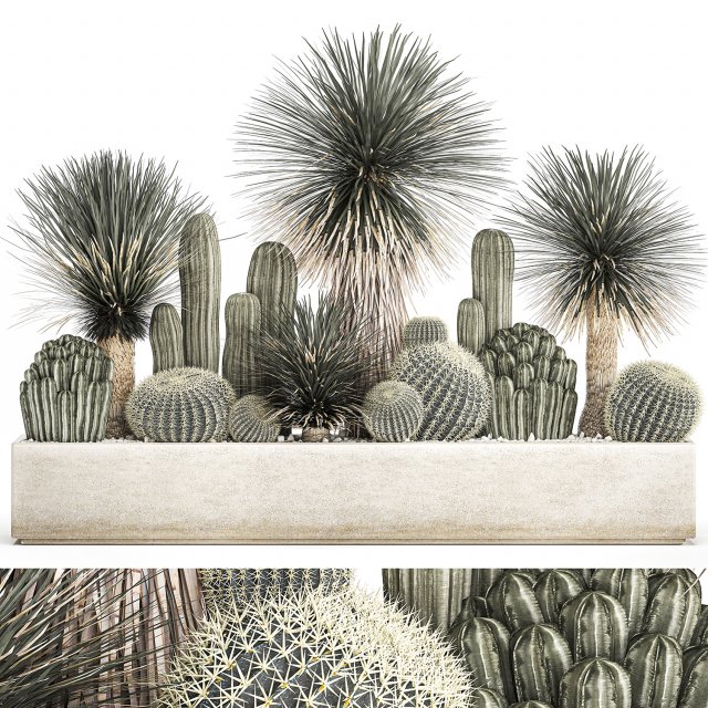 cactus set in a concrete flowerpot for the interior 1099 Model 3D .c4d .max .obj .3ds .fbx .stl .blend 