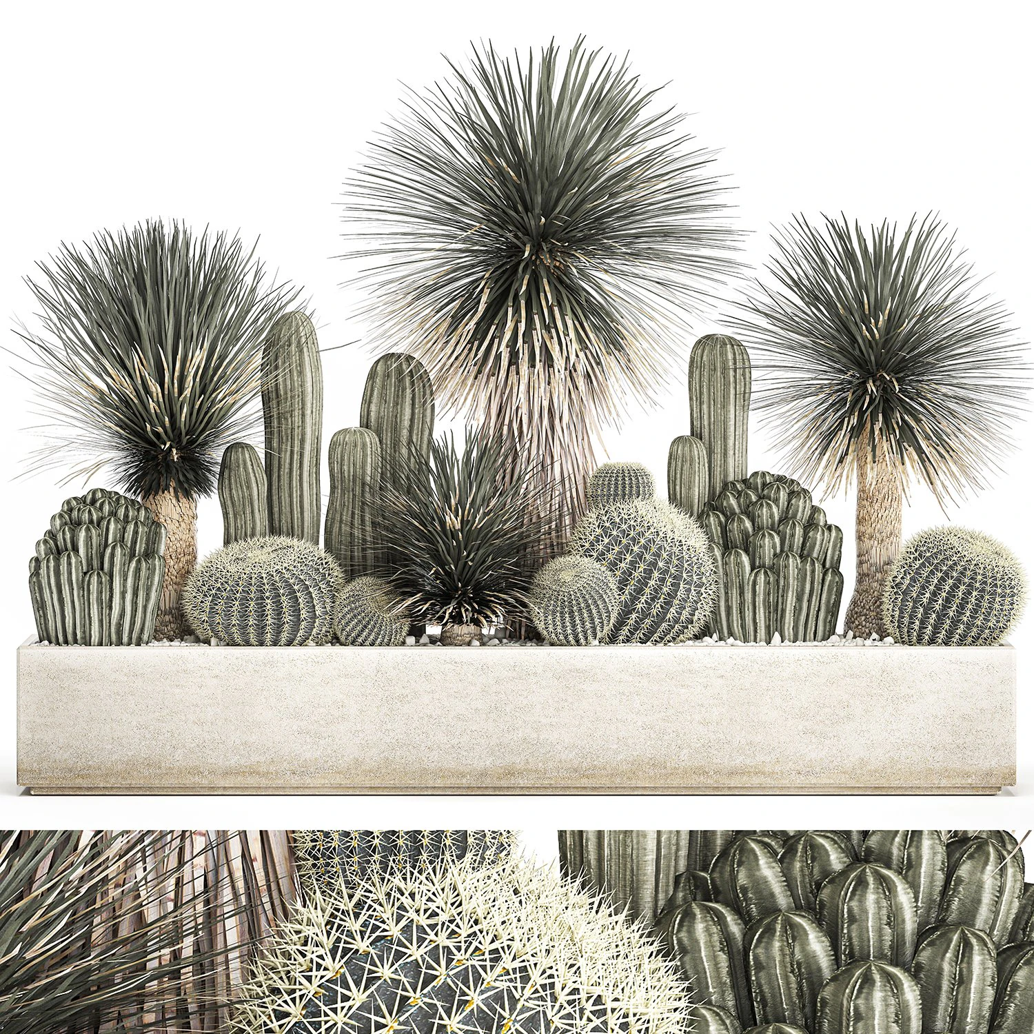 cactus set in a concrete flowerpot for the interior 1099 3D Model .c4d .max .obj .3ds .fbx .stl .blend 
