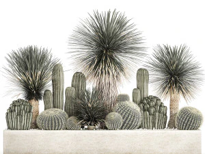 cactus set in a concrete flowerpot for the interior 1099 3D Model