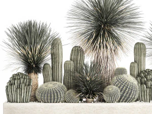 cactus set in a concrete flowerpot for the interior 1099 3D Model