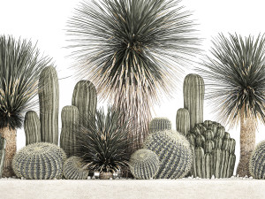 cactus set in a concrete flowerpot for the interior 1099 Model 3D