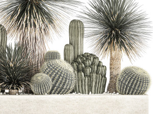 cactus set in a concrete flowerpot for the interior 1099 Model 3D