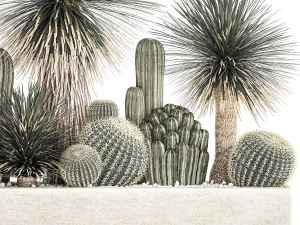 cactus set in a concrete flowerpot for the interior 1099 3D Model