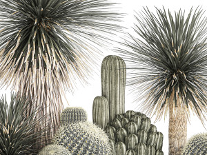 cactus set in a concrete flowerpot for the interior 1099 Model 3D