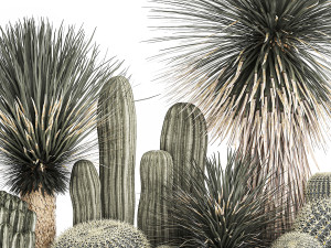 cactus set in a concrete flowerpot for the interior 1099 Model 3D