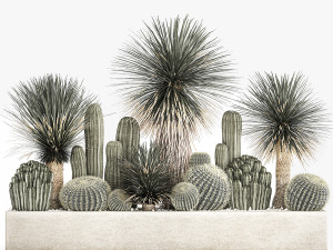 cactus set in a concrete flowerpot for the interior 1099 Model 3D