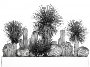 cactus set in a concrete flowerpot for the interior 1099 Model 3D