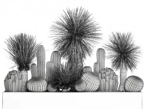cactus set in a concrete flowerpot for the interior 1099 3D Model