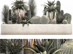 cactus set in a concrete flowerpot for the interior 1100 3D Model