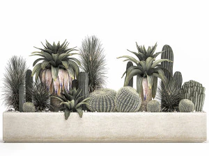 cactus set in a concrete flowerpot for the interior 1100 3D Model