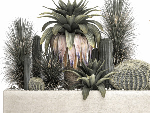 cactus set in a concrete flowerpot for the interior 1100 Model 3D