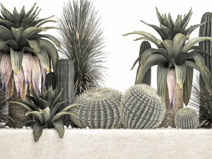 cactus set in a concrete flowerpot for the interior 1100 Model 3D