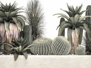 cactus set in a concrete flowerpot for the interior 1100 3D Model
