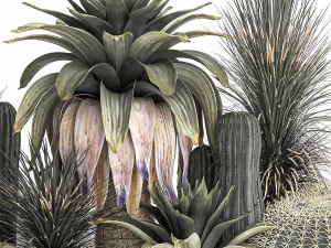 cactus set in a concrete flowerpot for the interior 1100 3D Model
