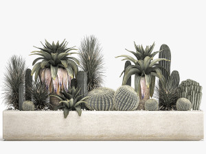 cactus set in a concrete flowerpot for the interior 1100 Model 3D