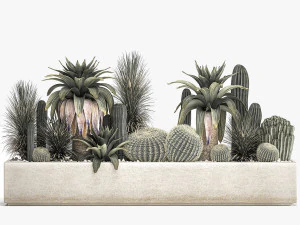 cactus set in a concrete flowerpot for the interior 1100 3D Model
