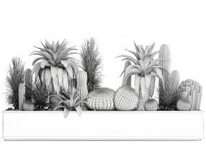 cactus set in a concrete flowerpot for the interior 1100 Model 3D