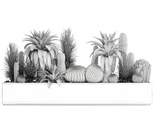 cactus set in a concrete flowerpot for the interior 1100 3D Model