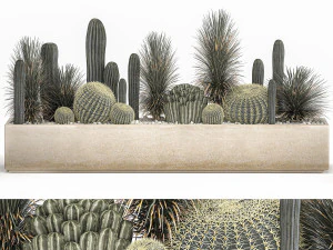 набор кактусов в бетонном вазоне для интерьера 1101 3D Модель