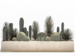 cactus set in a concrete flowerpot for the interior 1101 3D Модель