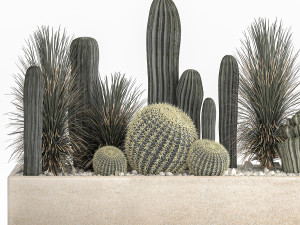 cactus set in a concrete flowerpot for the interior 1101 3D Модель