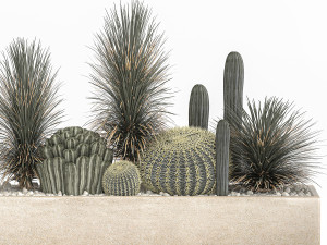 cactus set in a concrete flowerpot for the interior 1101 3D Модель