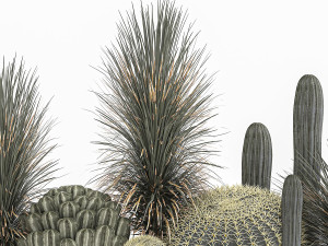 cactus set in a concrete flowerpot for the interior 1101 3D Модель