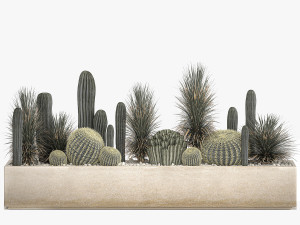 cactus set in a concrete flowerpot for the interior 1101 3D Модель