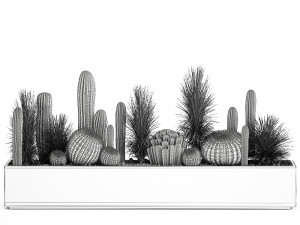 cactus set in a concrete flowerpot for the interior 1101 3D Модель