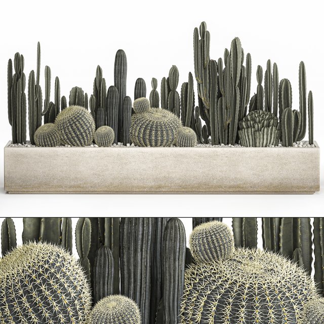 cactus set in a concrete flowerpot for the interior 1102 3D-Modell .c4d .max .obj .3ds .fbx .stl .blend 