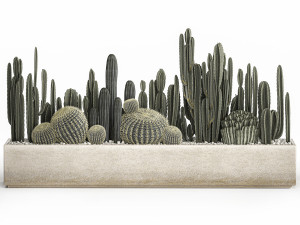 cactus set in a concrete flowerpot for the interior 1102 3D-Modell