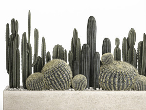 cactus set in a concrete flowerpot for the interior 1102 3D-Modell
