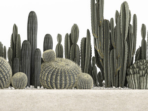 cactus set in a concrete flowerpot for the interior 1102 3D-Modell