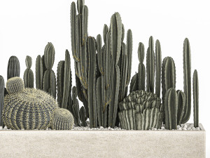 cactus set in a concrete flowerpot for the interior 1102 3D-Modell