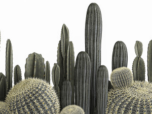 cactus set in a concrete flowerpot for the interior 1102 3D-Modell