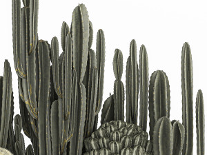 cactus set in a concrete flowerpot for the interior 1102 3D-Modell