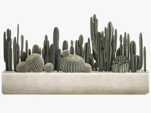 cactus set in a concrete flowerpot for the interior 1102 3D-Modell