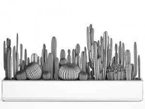 cactus set in a concrete flowerpot for the interior 1102 3D-Modell