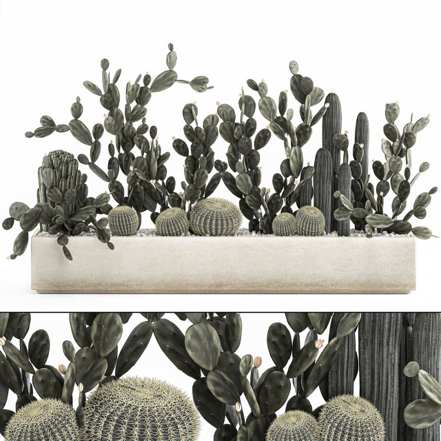 prickly pear cactus collection in a concrete flowerpot 1103 3D Model .c4d .max .obj .3ds .fbx .stl .blend 