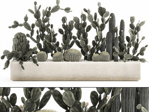 prickly pear cactus collection in a concrete flowerpot 1103 Modelo 3D