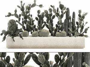 coleção de cactos de pera espinhosa em um vaso de concreto 1103 Modelo 3D