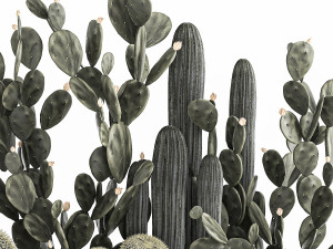 prickly pear cactus collection in a concrete flowerpot 1103 3D Model